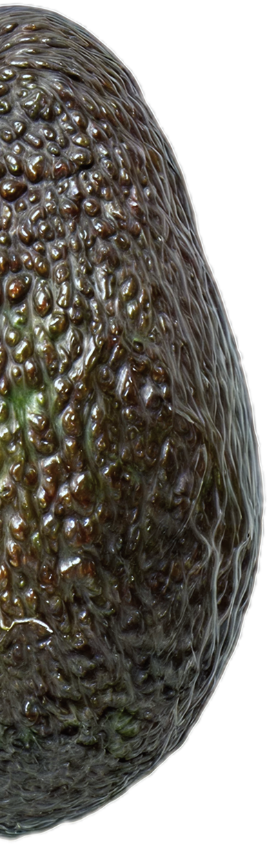 avocado