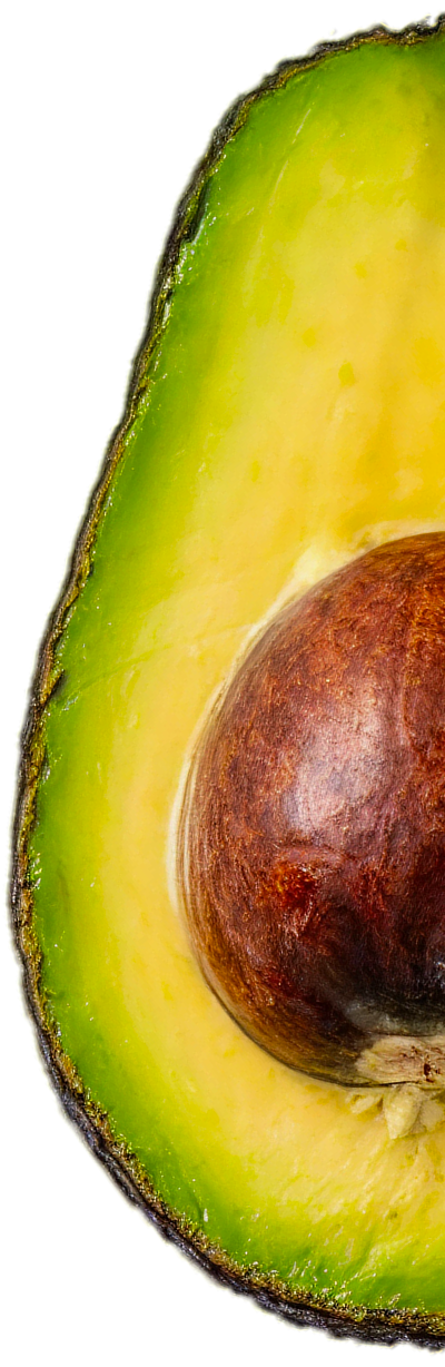 avocado