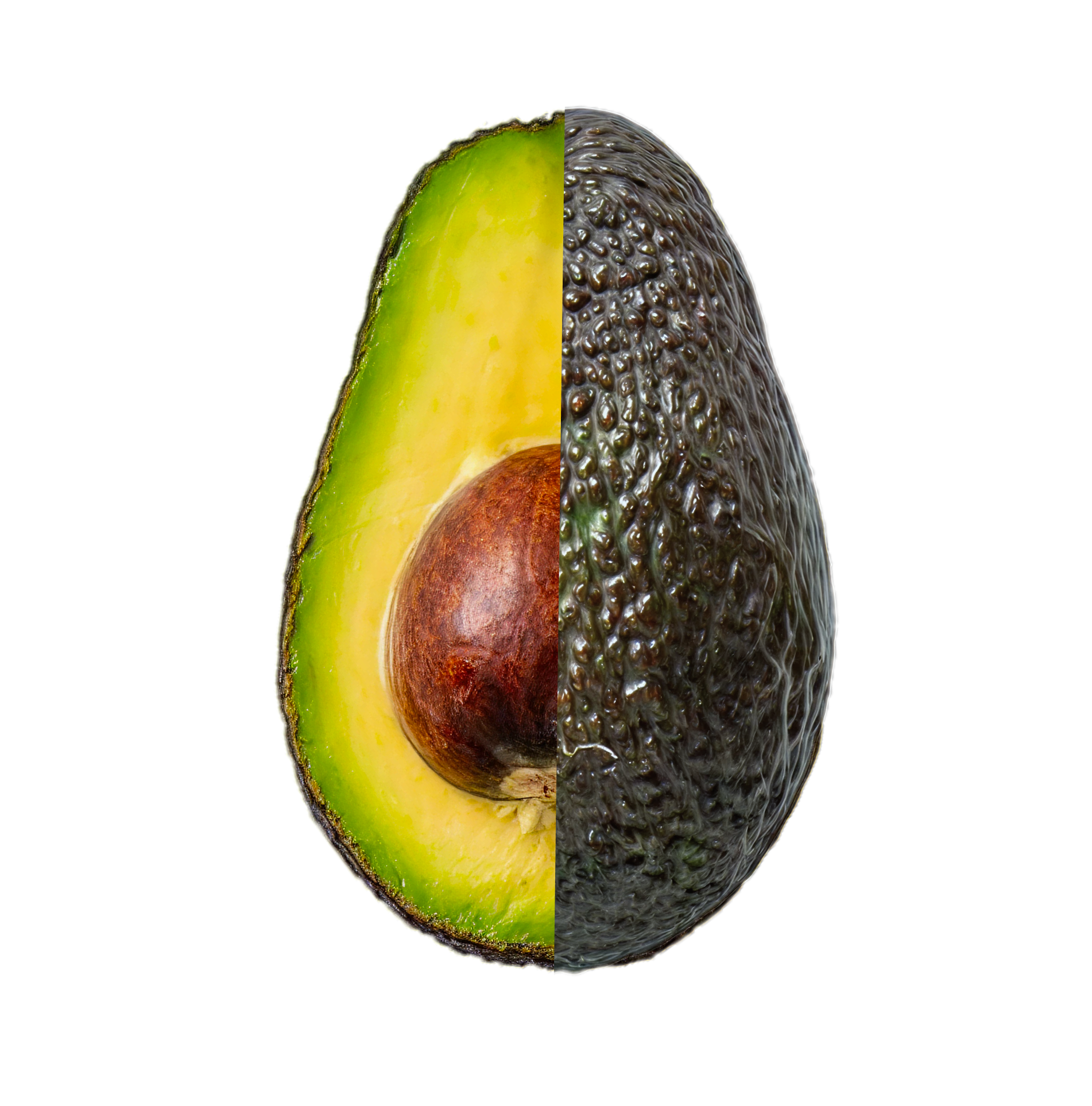 avocado